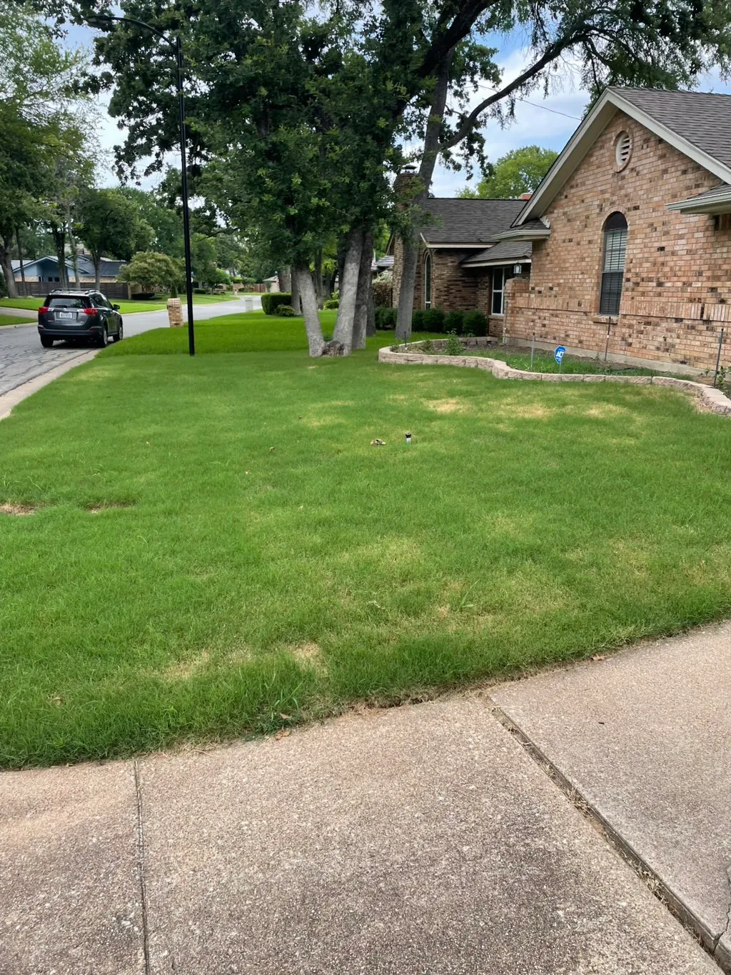 A freshly mowed striped VIDDA lawn in Arlington, TX